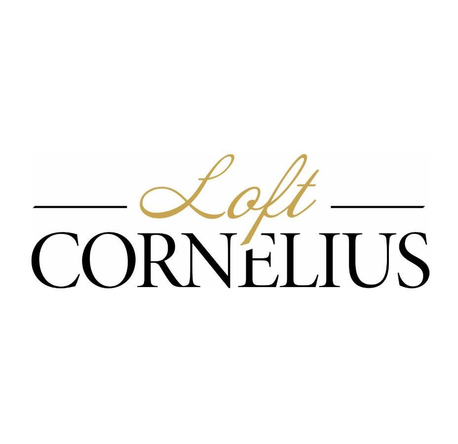 Gite Loft Cornelius Lons-le-Saunier Ngoại thất bức ảnh
